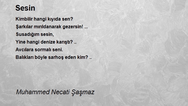 Muhammed Necati Şaşmaz