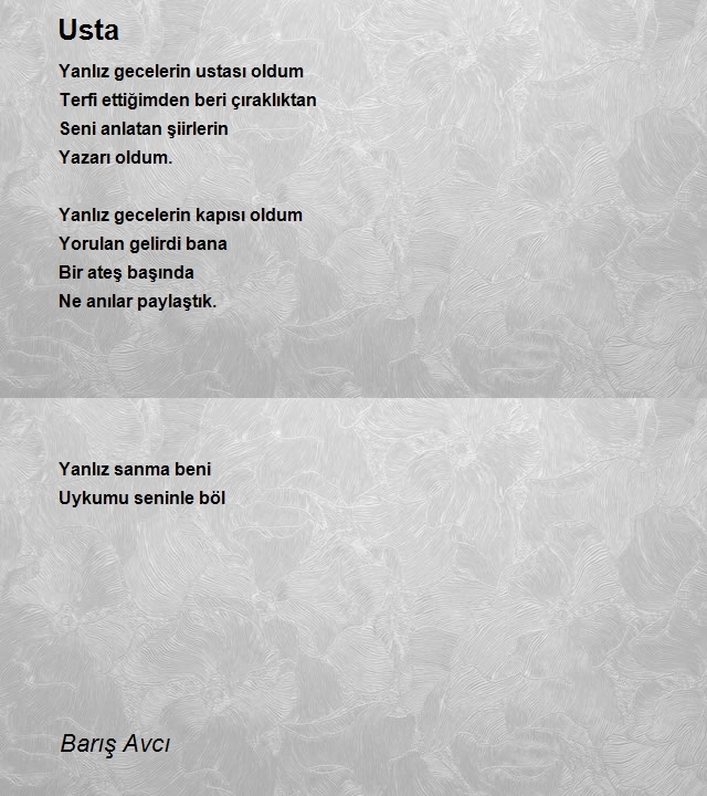 Barış Avcı