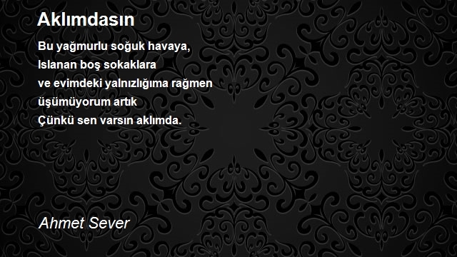 Ahmet Sever