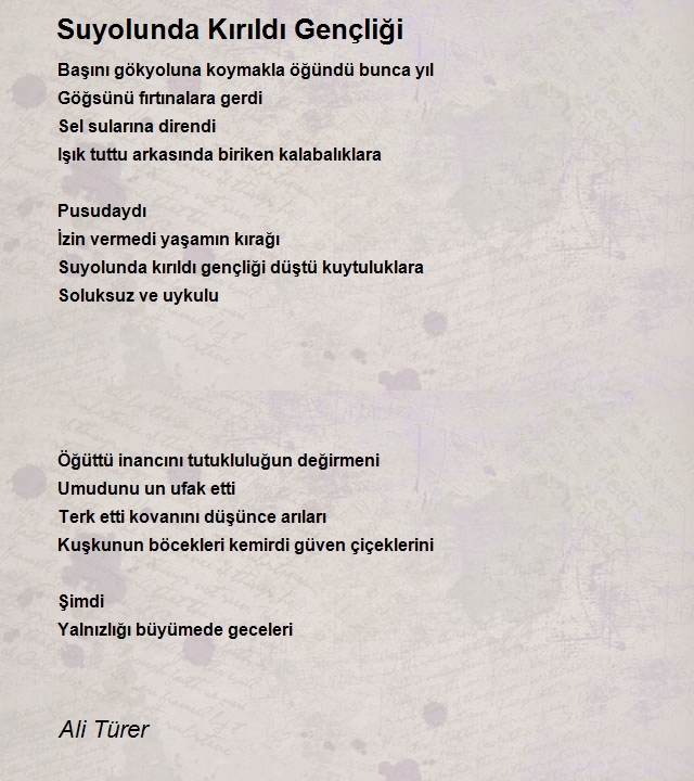 Ali Türer