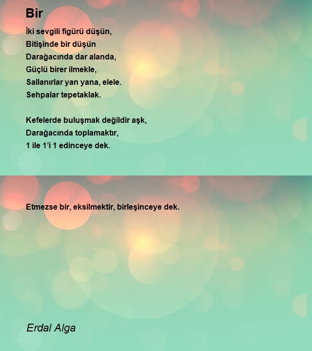 Erdal Alga