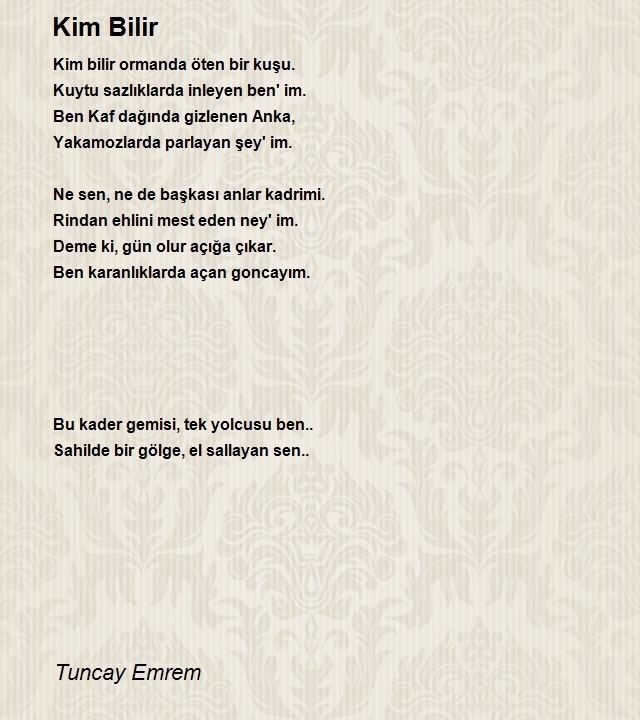 Tuncay Emrem