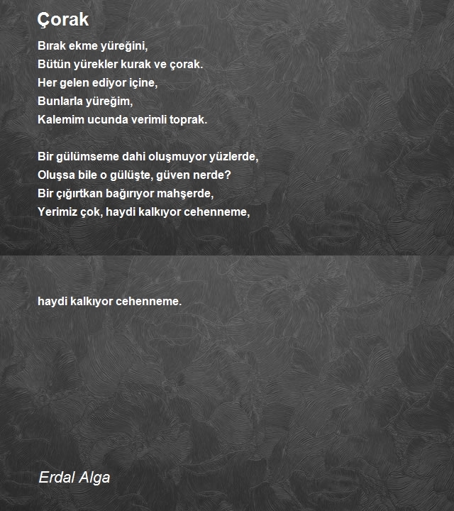 Erdal Alga