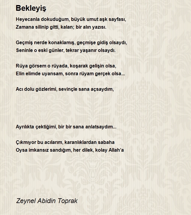 Zeynel Abidin Toprak