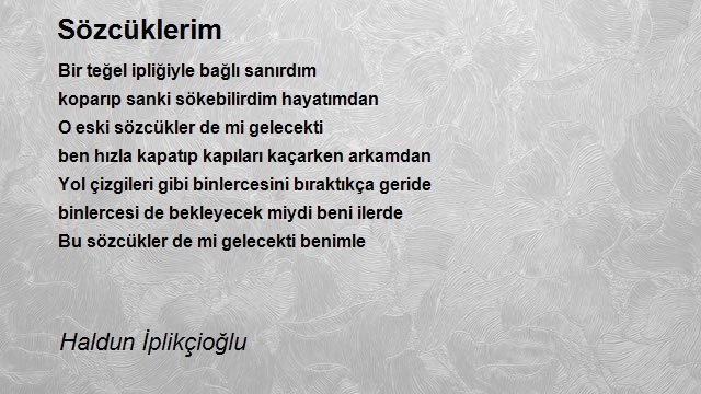 Haldun İplikçioğlu