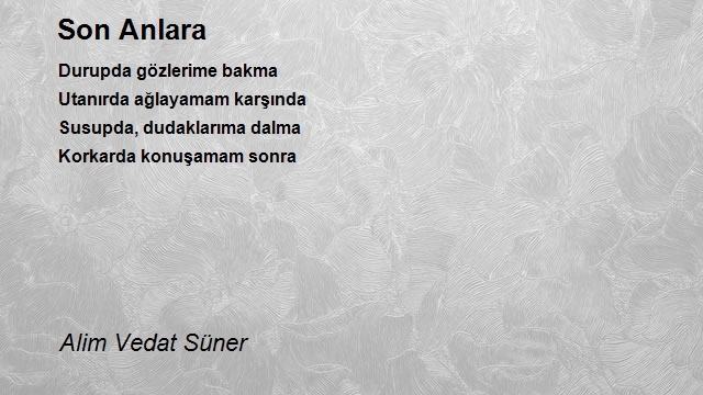 Alim Vedat Süner