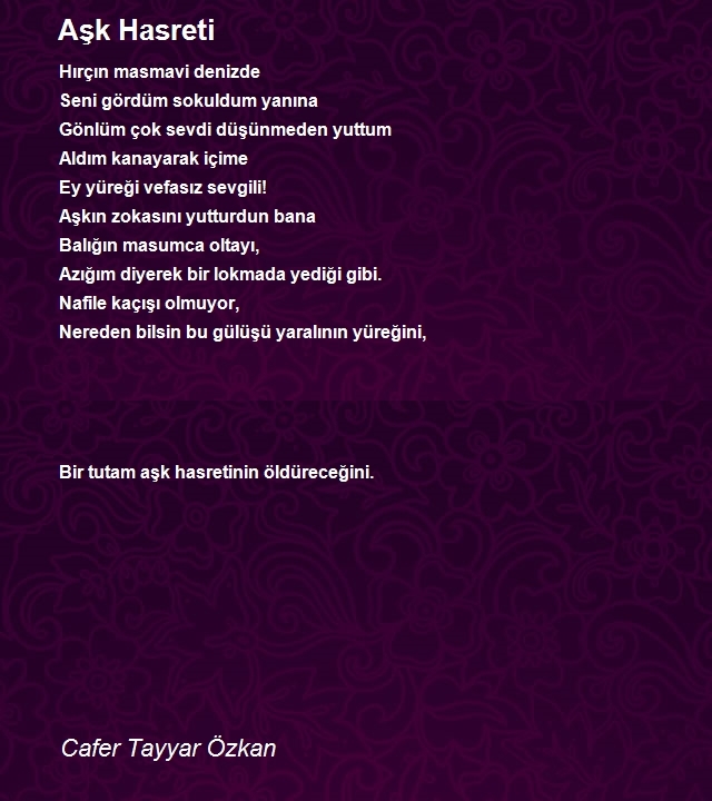 Cafer Tayyar Özkan