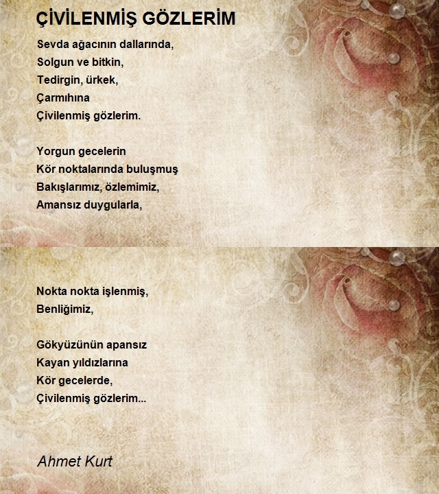 Ahmet Kurt