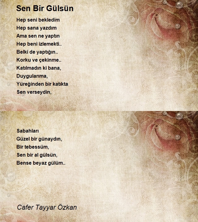 Cafer Tayyar Özkan