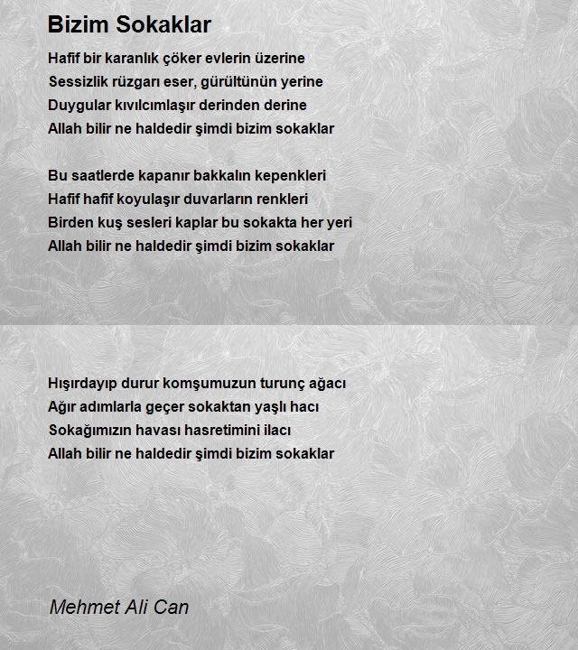 Mehmet Ali Can