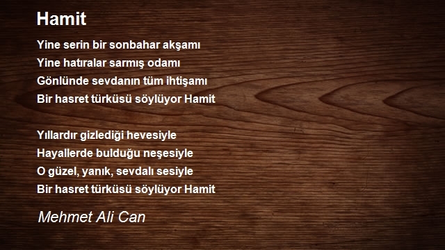 Mehmet Ali Can