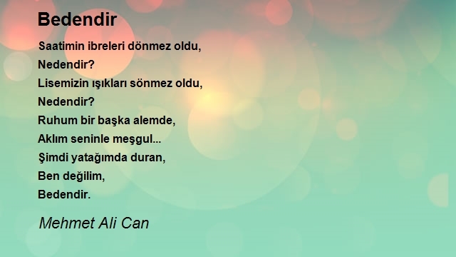 Mehmet Ali Can