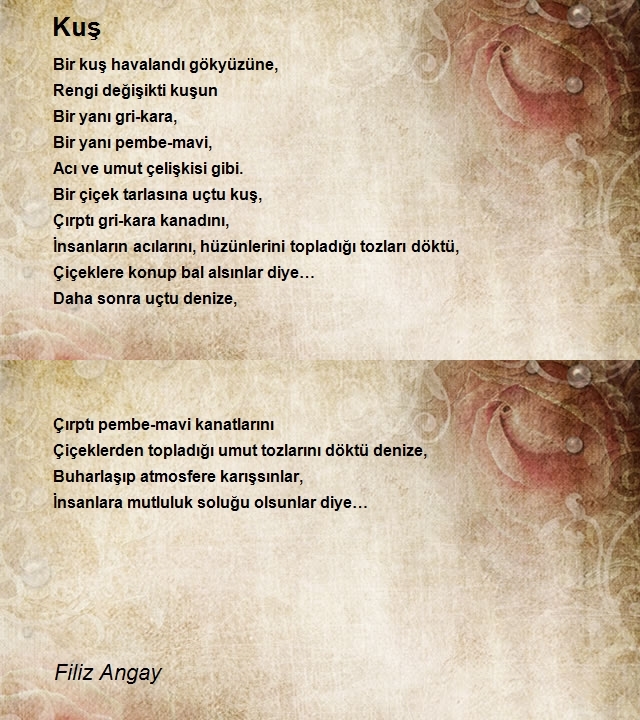 Filiz Angay