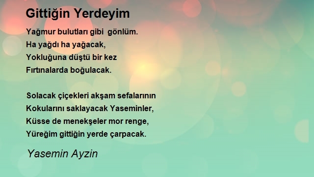 Yasemin Ayzin