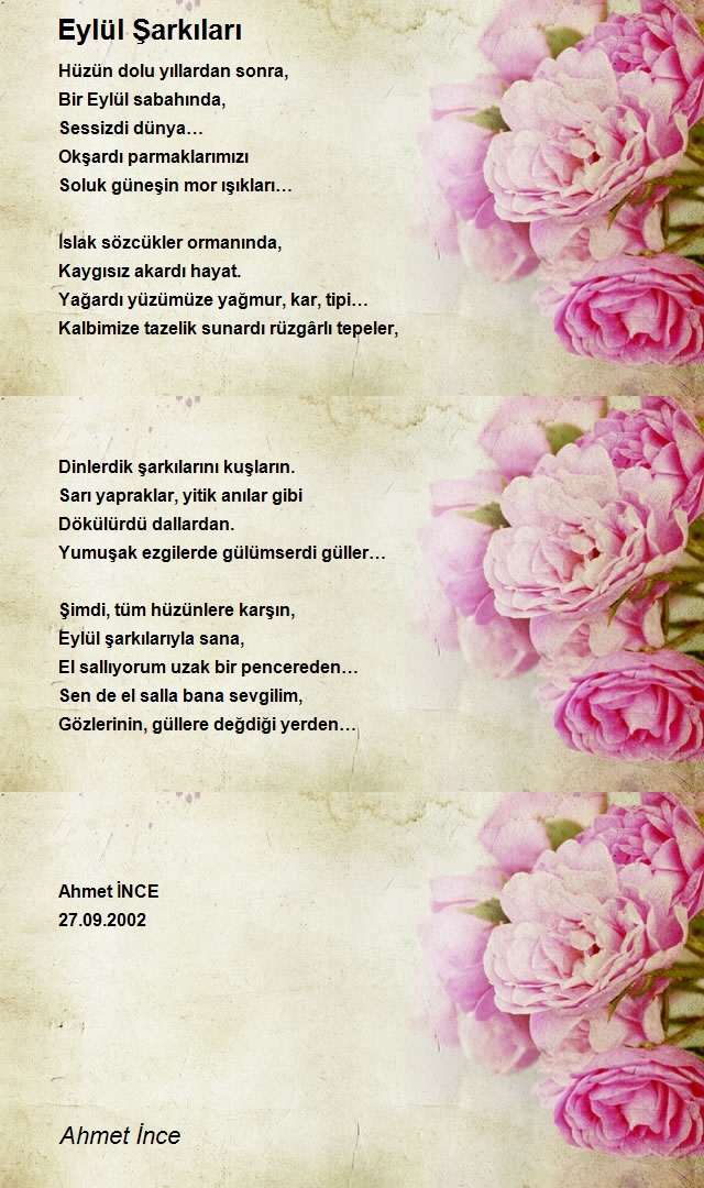 Ahmet İnce