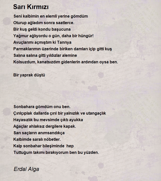 Erdal Alga