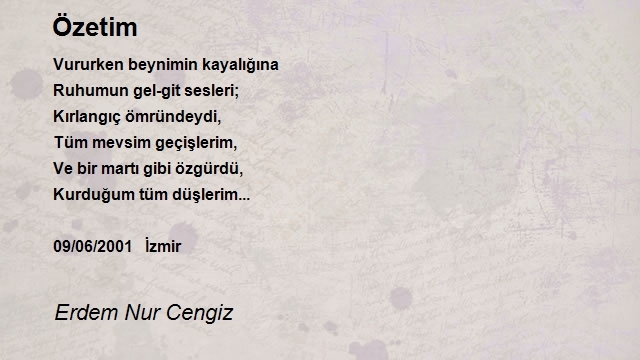 Erdem Nur Cengiz