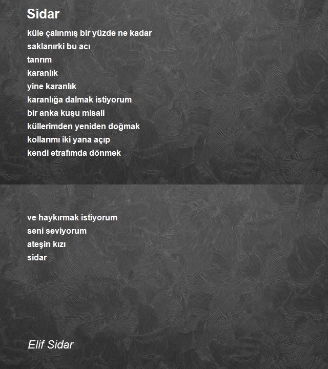 Elif Sidar