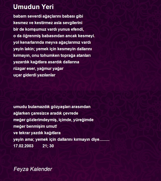 Feyza Kalender