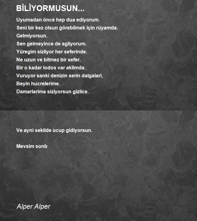 Alper Alper