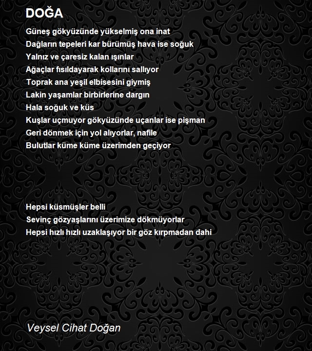 Veysel Cihat Doğan