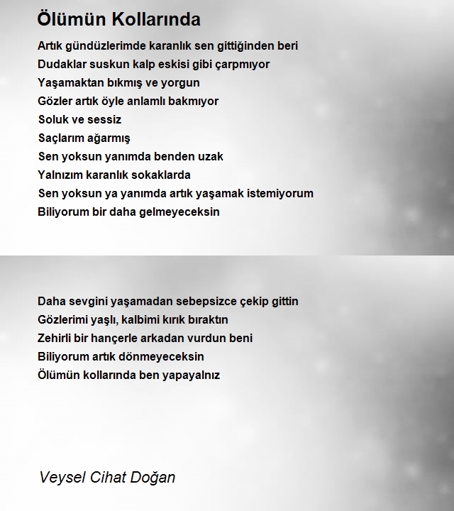 Veysel Cihat Doğan