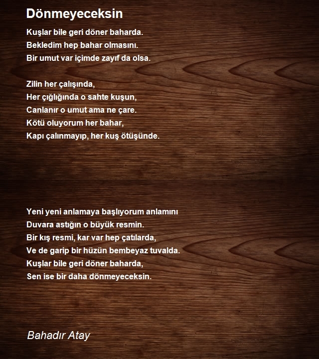 Bahadır Atay