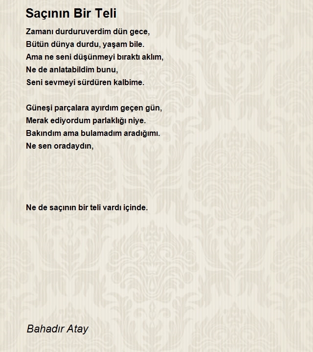 Bahadır Atay