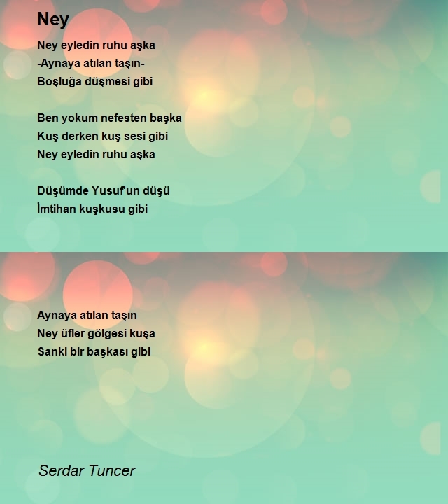 Serdar Tuncer