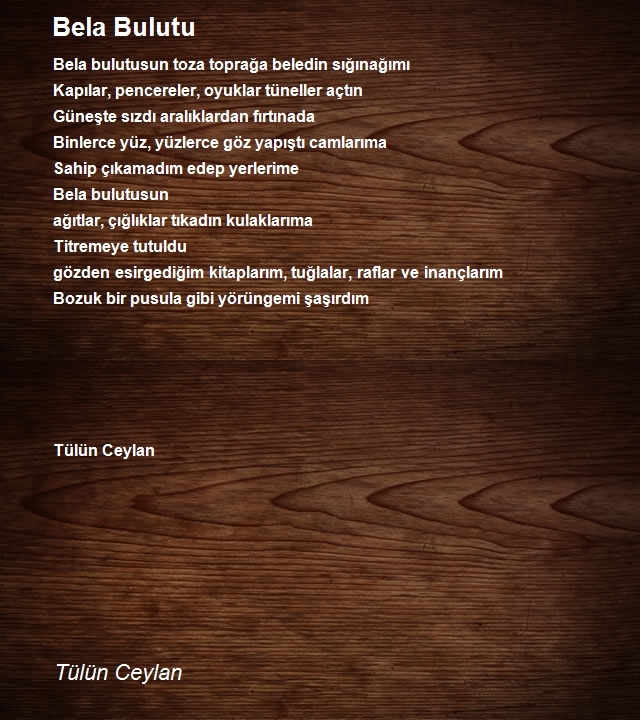 Tülün Ceylan