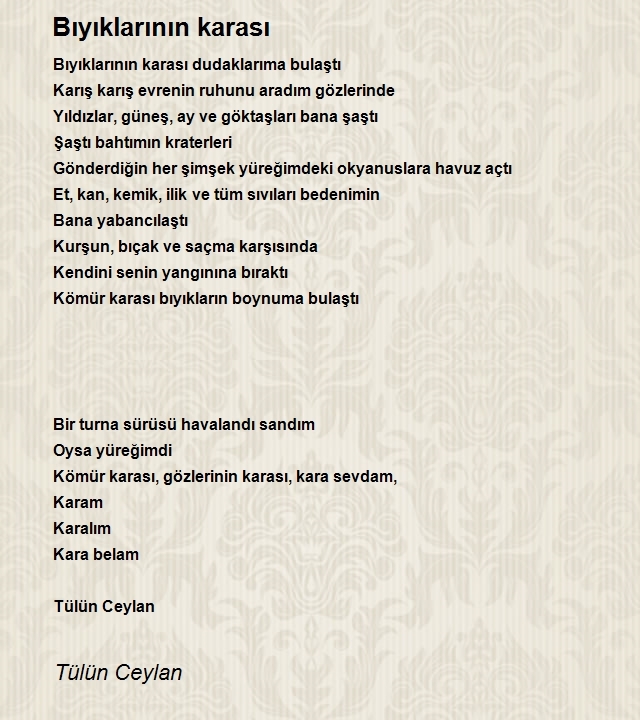 Tülün Ceylan