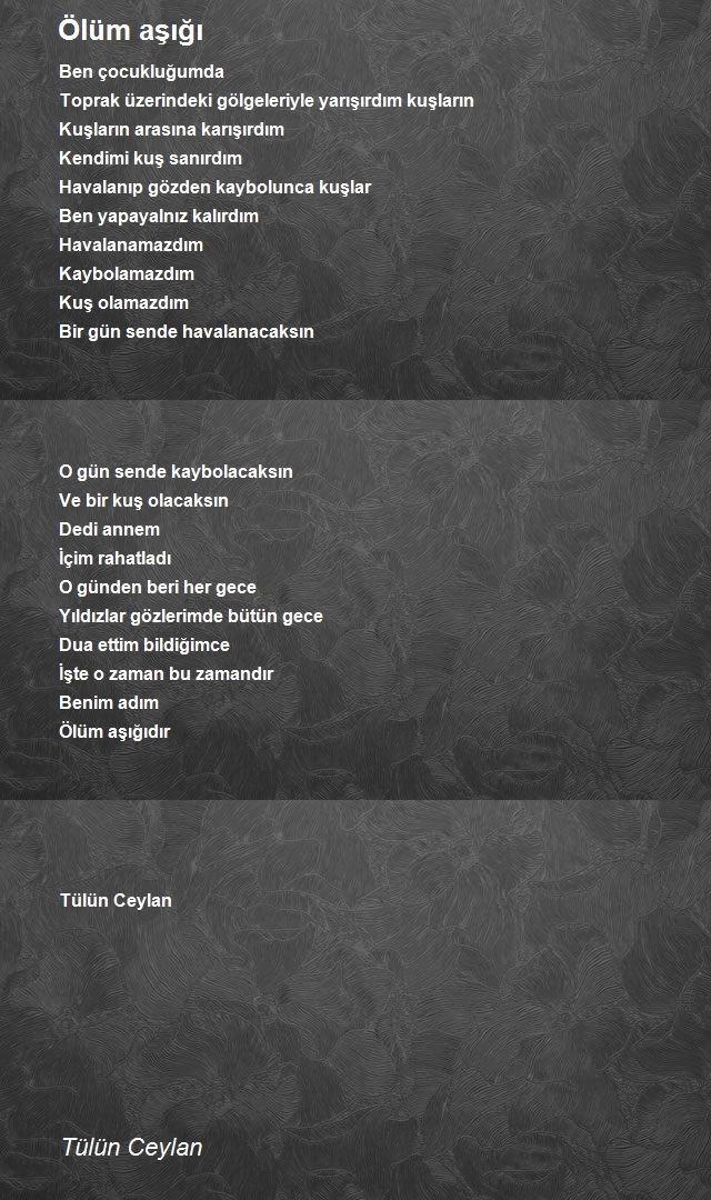 Tülün Ceylan