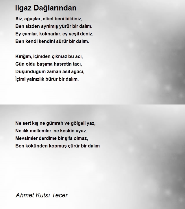 Ahmet Kutsi Tecer