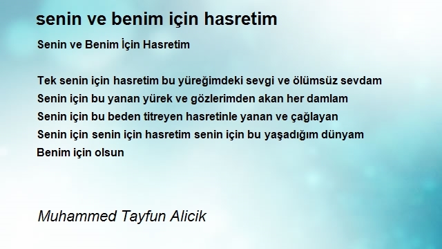 Muhammed Tayfun Alicik