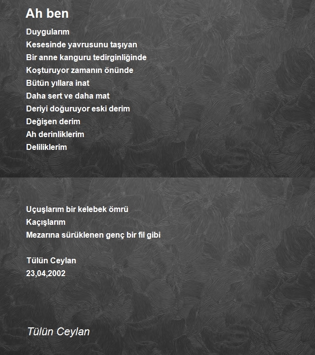 Tülün Ceylan