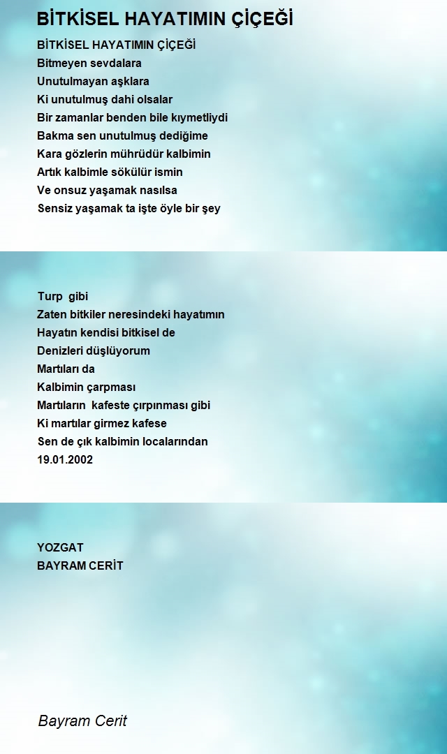 Bayram Cerit