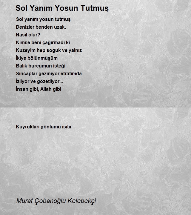 Murat Çobanoğlu Kelebekçi