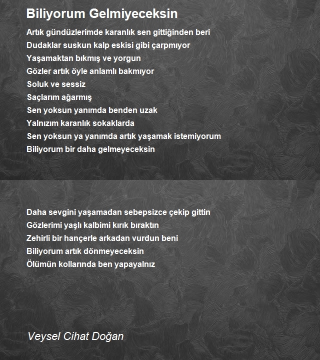 Veysel Cihat Doğan