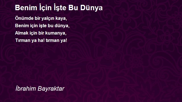 İbrahim Bayraktar