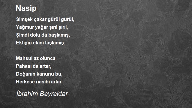 İbrahim Bayraktar