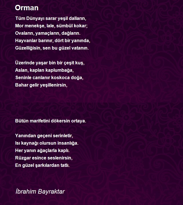 İbrahim Bayraktar