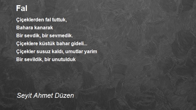 Seyit Ahmet Düzen