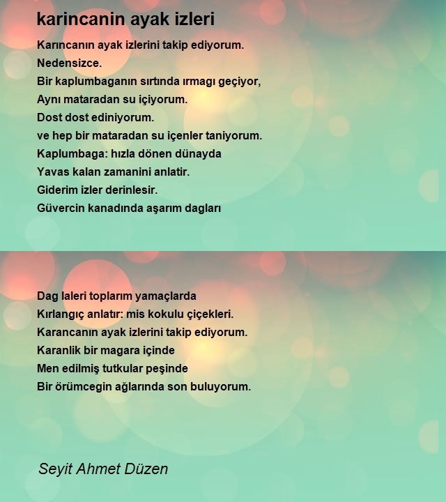 Seyit Ahmet Düzen