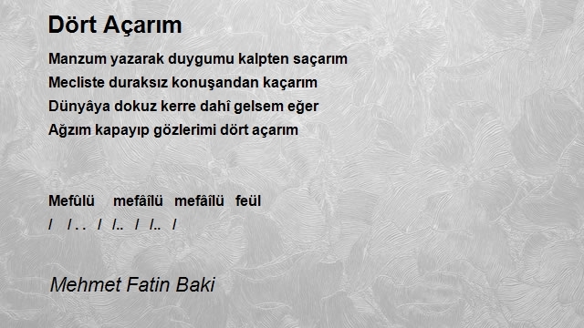 Mehmet Fatin Baki