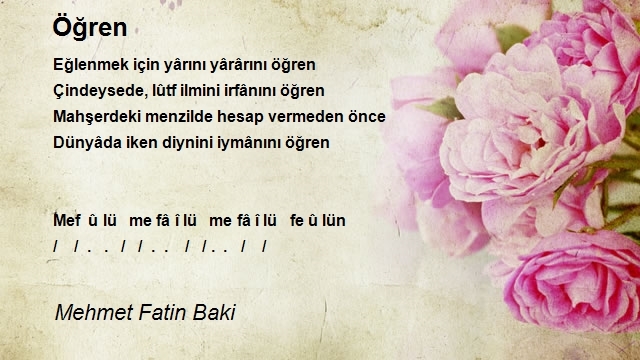 Mehmet Fatin Baki