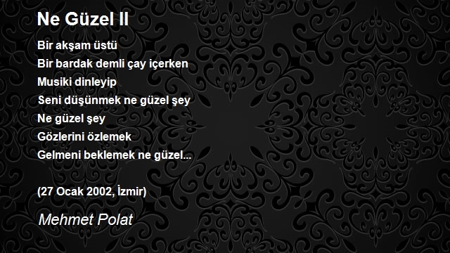 Mehmet Polat