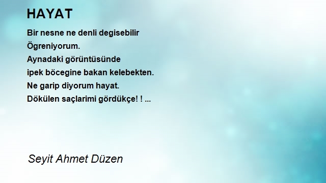 Seyit Ahmet Düzen