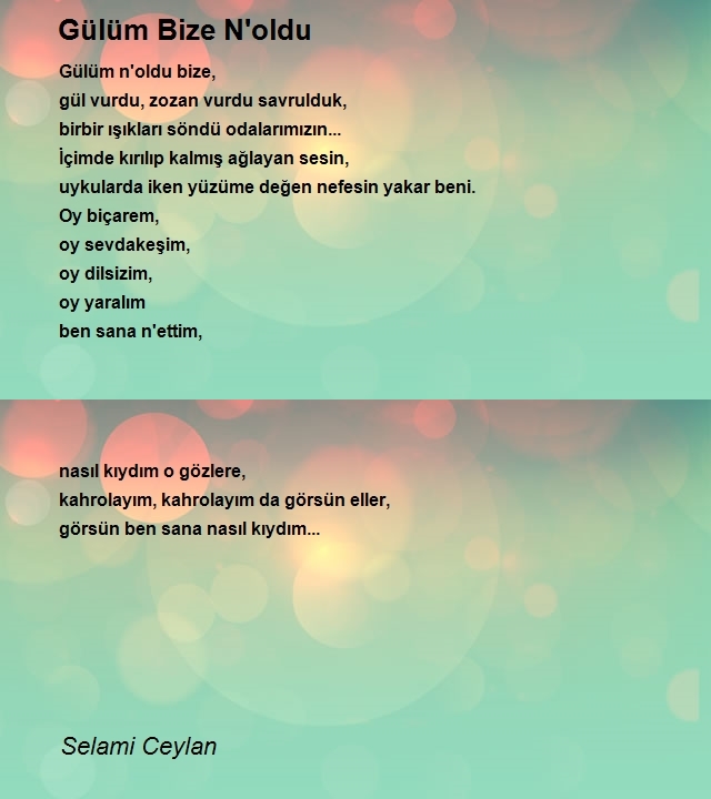 Selami Ceylan