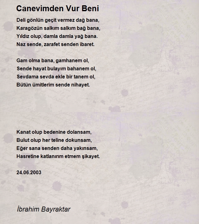 İbrahim Bayraktar