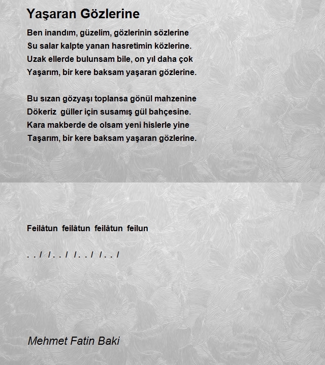 Mehmet Fatin Baki